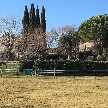 Podere Conte Racani Villa Amelia Esterno foto