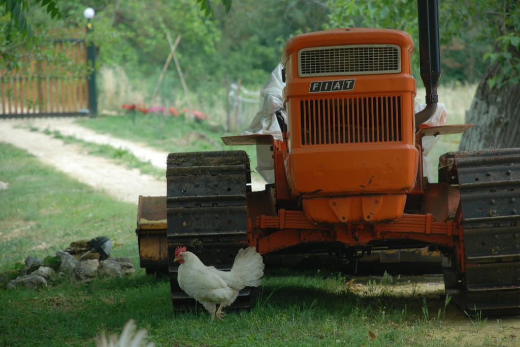 Podere Conte Racani Villa Amelia Esterno foto