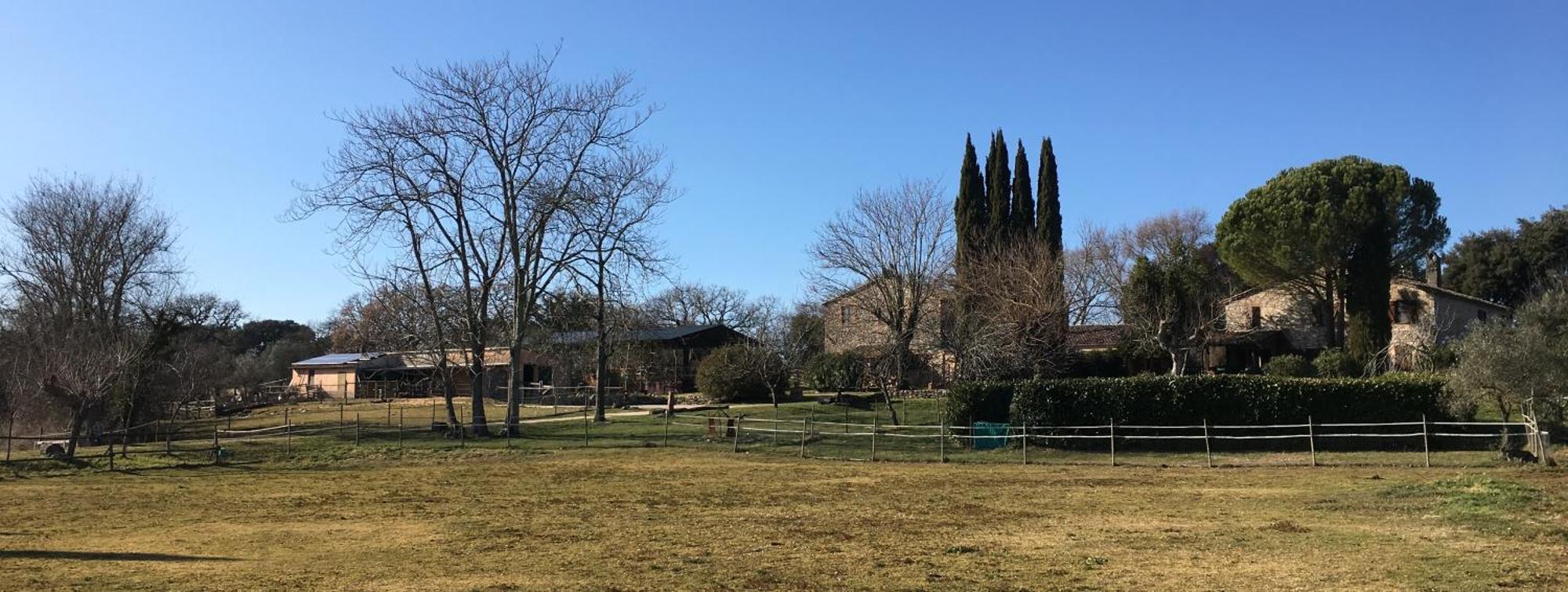 Podere Conte Racani Villa Amelia Esterno foto