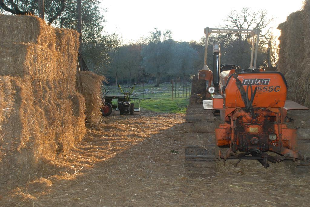 Podere Conte Racani Villa Amelia Esterno foto