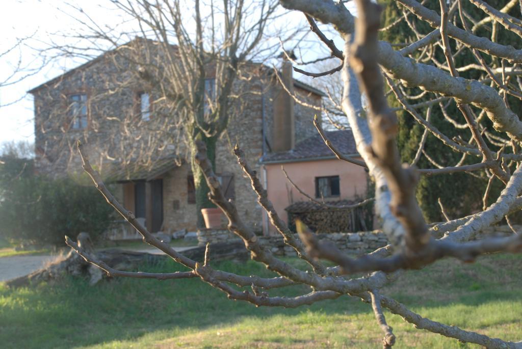 Podere Conte Racani Villa Amelia Esterno foto