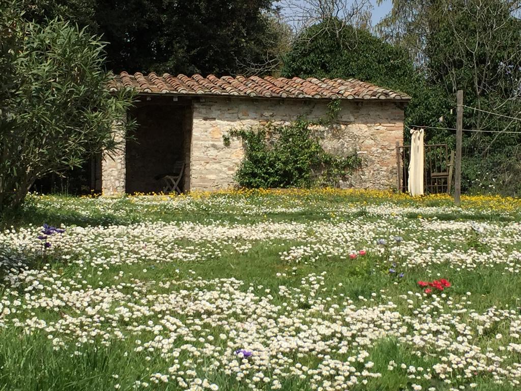 Podere Conte Racani Villa Amelia Esterno foto