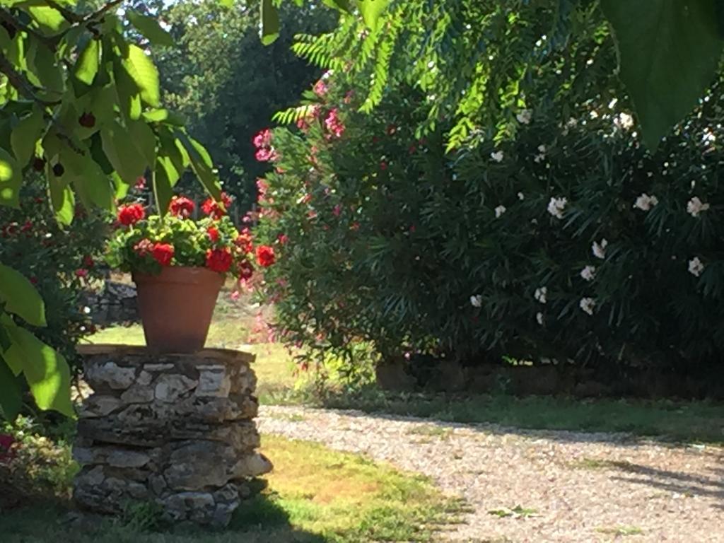 Podere Conte Racani Villa Amelia Esterno foto