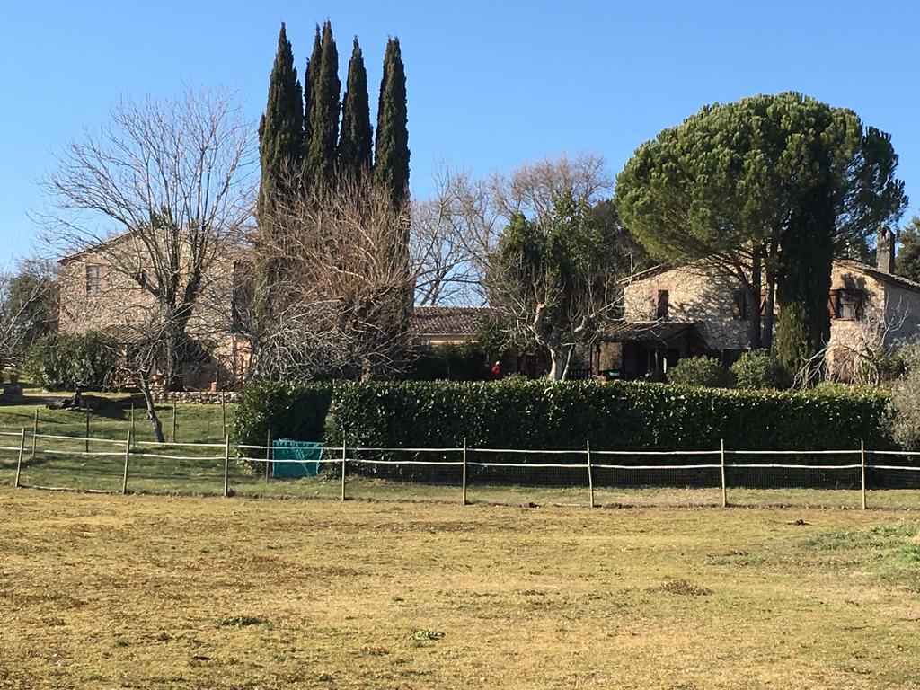 Podere Conte Racani Villa Amelia Esterno foto