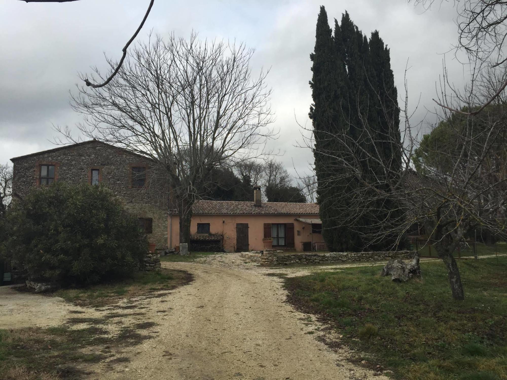 Podere Conte Racani Villa Amelia Esterno foto