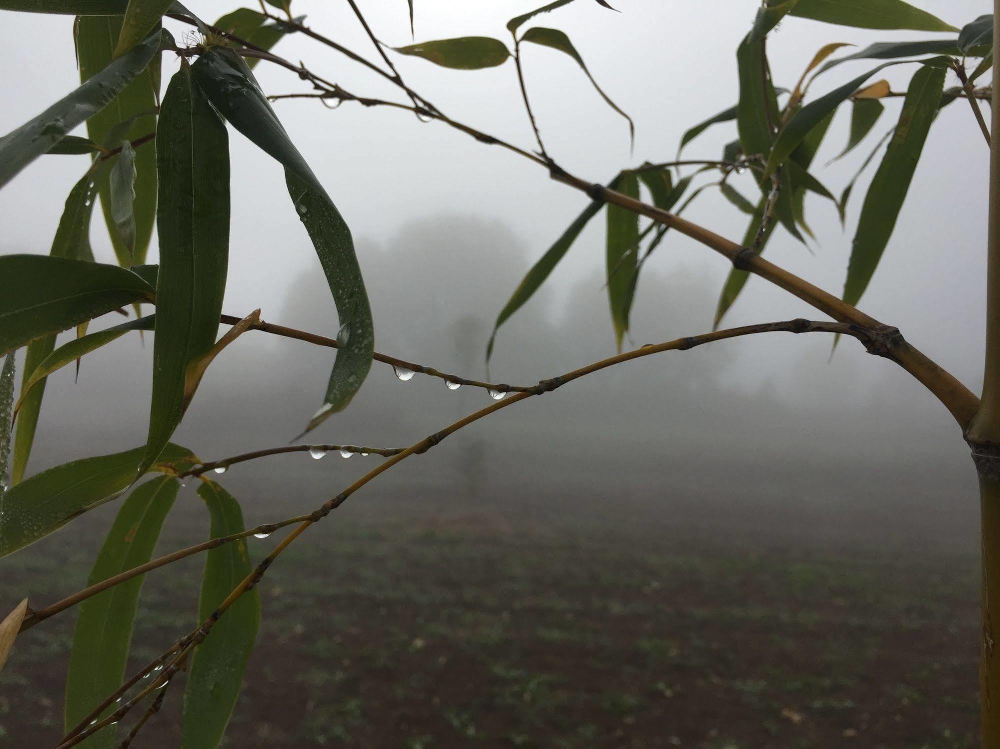 Podere Conte Racani Villa Amelia Esterno foto