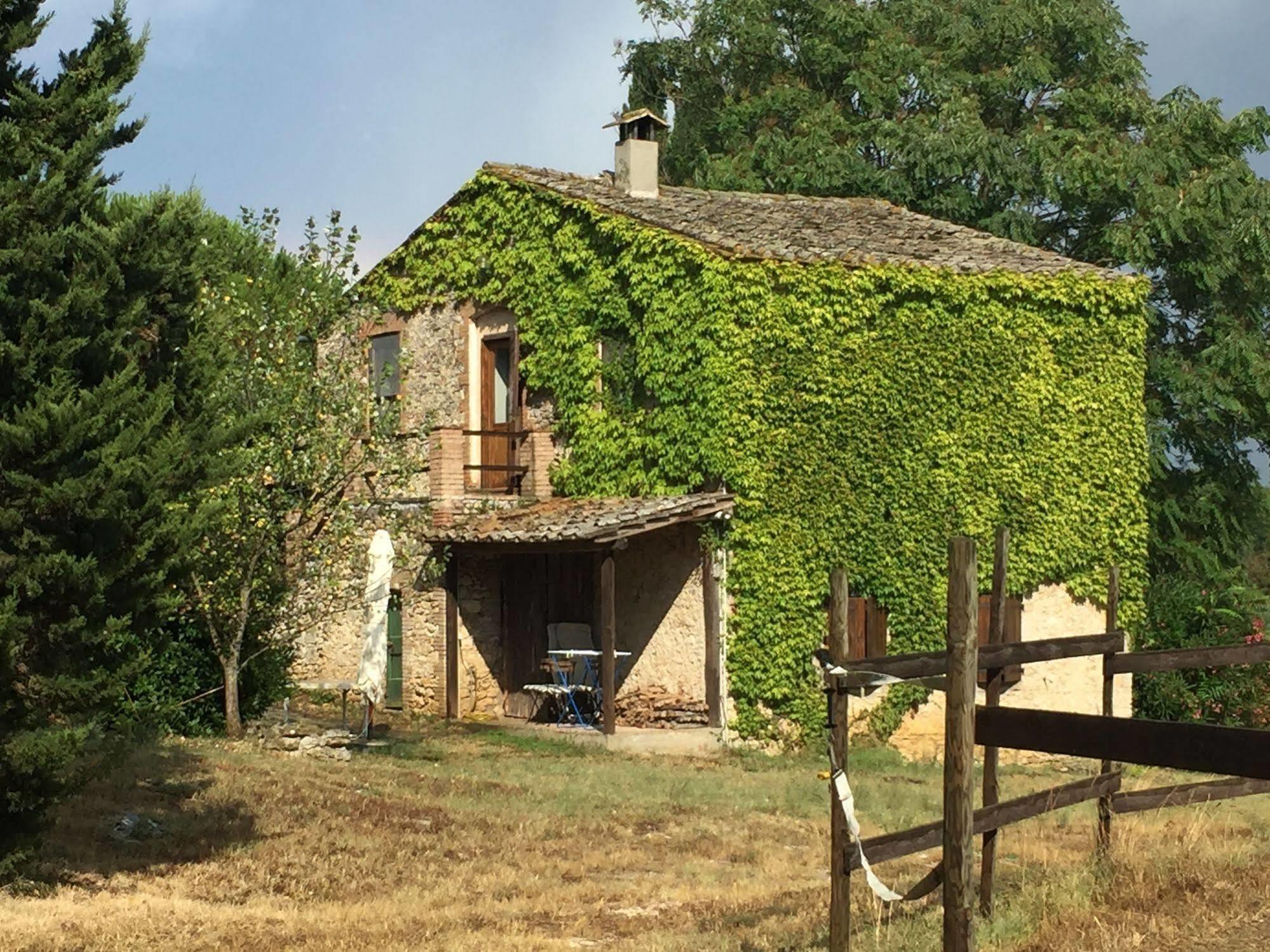 Podere Conte Racani Villa Amelia Esterno foto