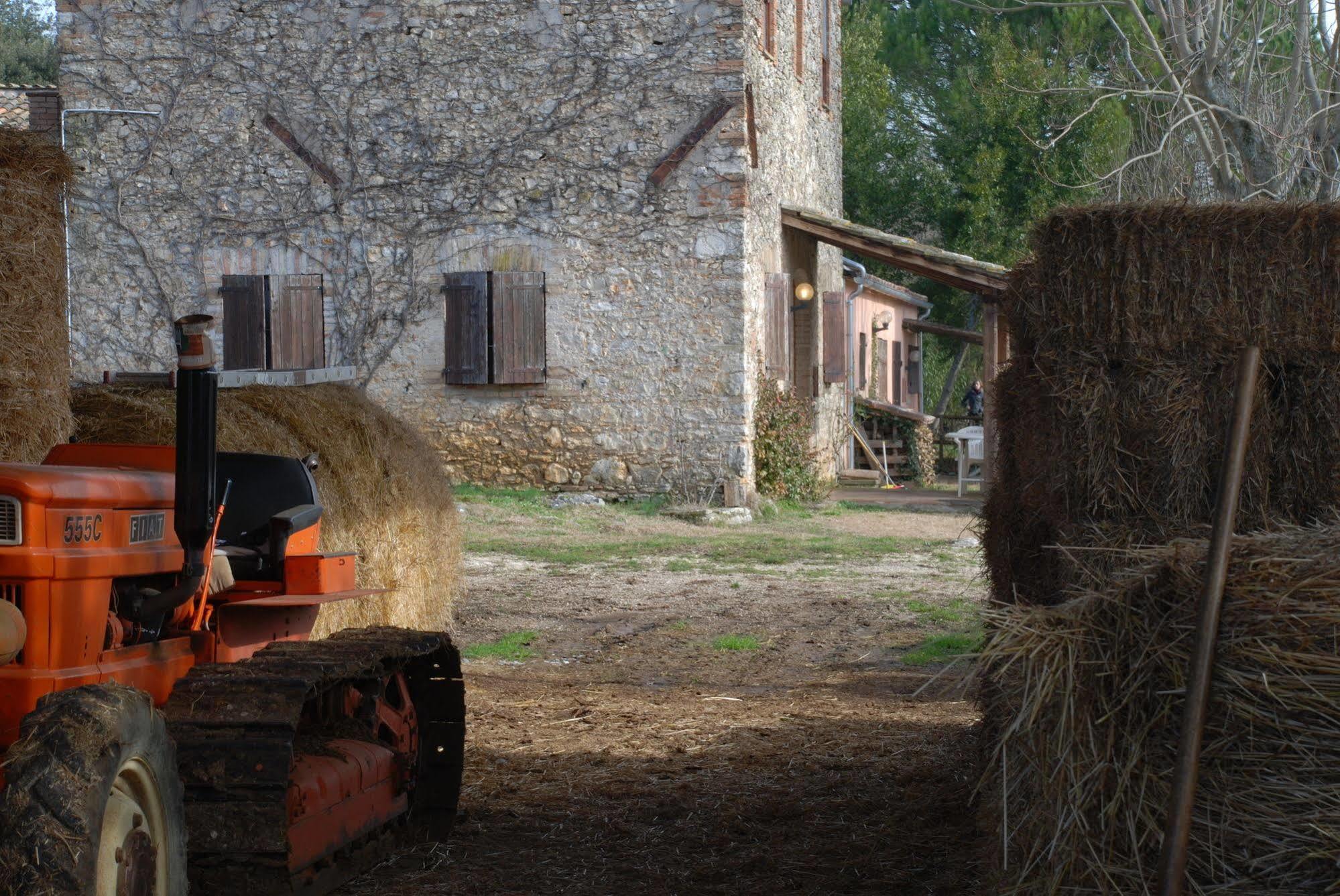 Podere Conte Racani Villa Amelia Esterno foto