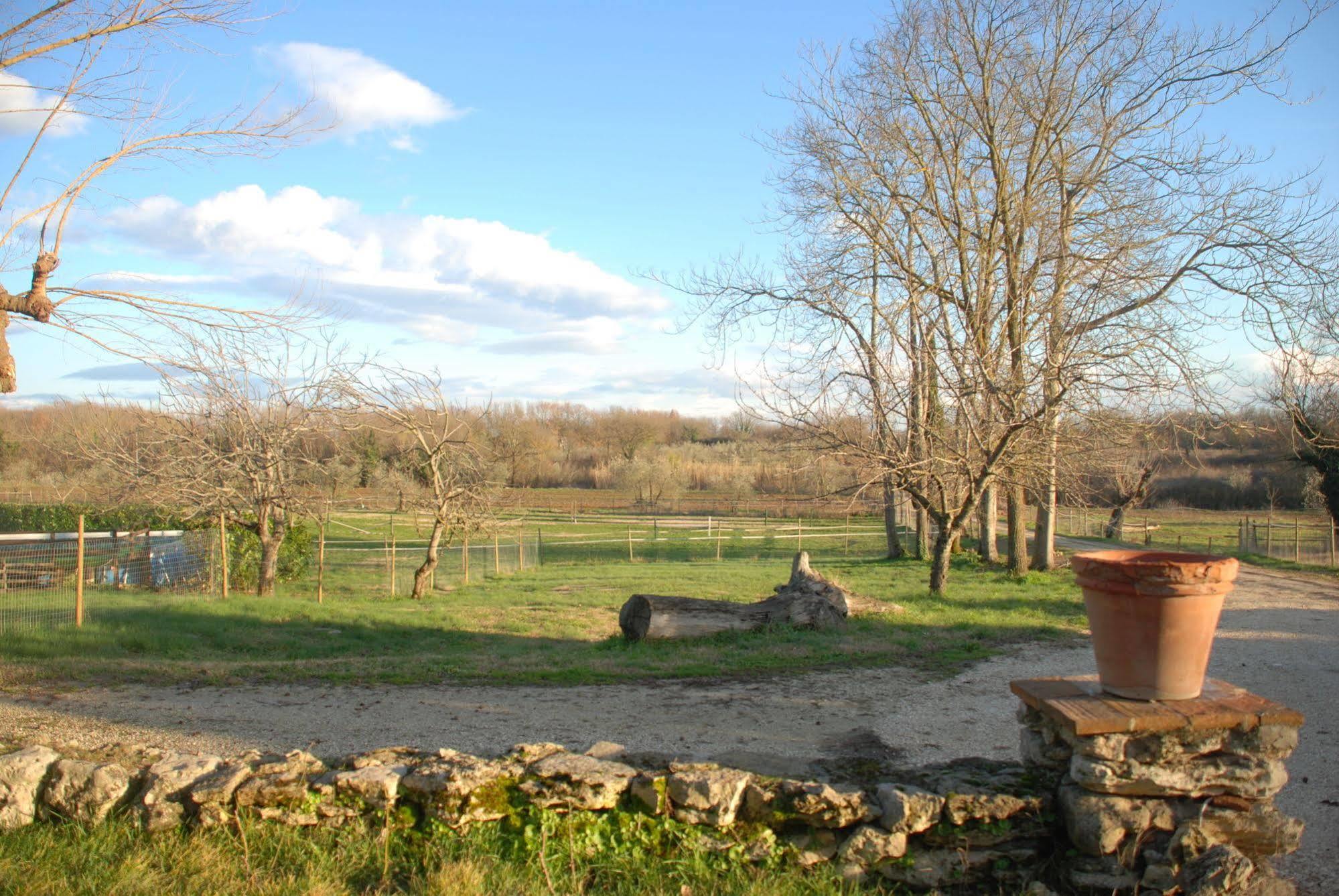 Podere Conte Racani Villa Amelia Esterno foto