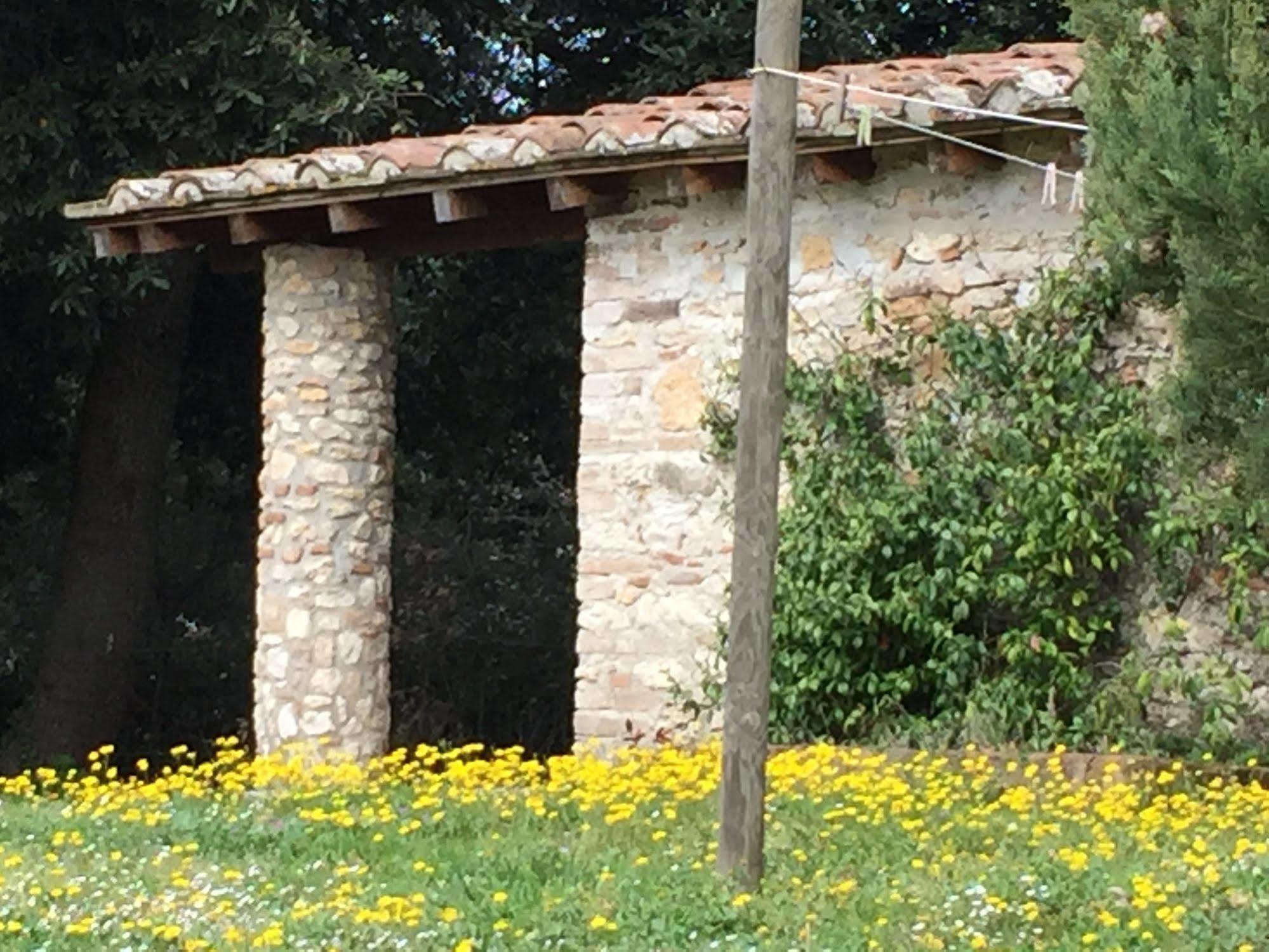 Podere Conte Racani Villa Amelia Esterno foto